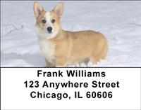 Corgis in the Snow Address Labels