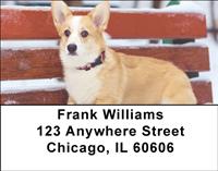 Corgis in the Snow Address Labels
