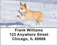 Corgis in the Snow Address Labels