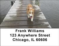 Playful Corgis Address Labels