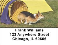 Playful Corgis Address Labels