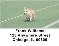 Playful Corgis Address Labels