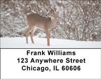 Whitetail Deer Address Labels