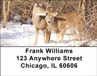 Whitetail Deer Address Labels