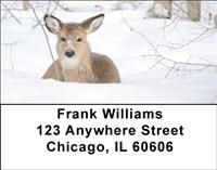 Whitetail Deer Address Labels