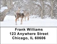 Whitetail Deer Address Labels