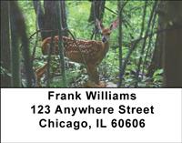 Whitetail Fawn Address Labels