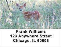 Whitetail Fawn Address Labels
