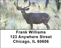 Wild Bucks Address Labels