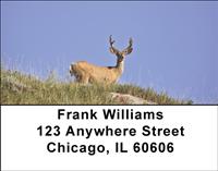 Wild Bucks Address Labels