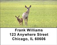 Does and Fawns Address Labels
