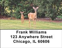 Does and Fawns Address Labels