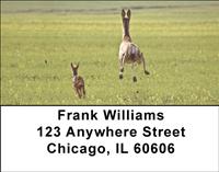Does and Fawns Address Labels