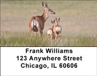 Does and Fawns Address Labels