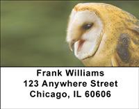 Barn Owls Address Labels