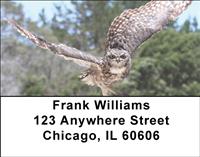 Horned Owls Address Labels