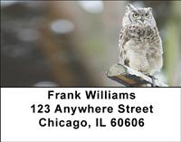 Horned Owls Address Labels