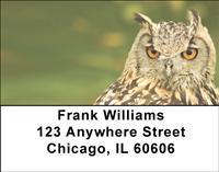 Horned Owls Address Labels