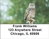 Horned Owls Address Labels