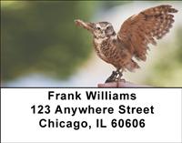 Burrowing Owls Address Labels