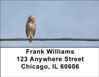 Burrowing Owls Address Labels