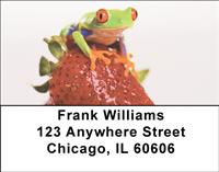 Frogs On Fruit Address Labels