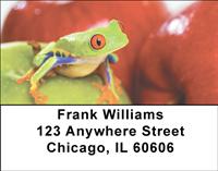 Frogs On Fruit Address Labels