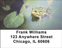 Frogs Keeping Cool Address Labels