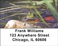 Frogs Keeping Cool Address Labels