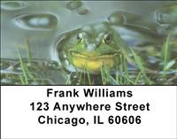 Frogs Keeping Cool Address Labels
