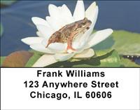 Frog On Lily Address Labels