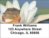Frog On Lily Address Labels