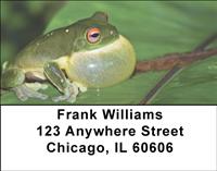 Puffed Up Frogs Address Labels
