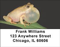 Puffed Up Frogs Address Labels