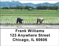 Rice Farming Address Labels