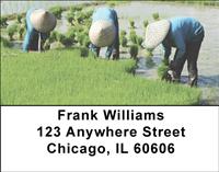 Rice Farming Address Labels
