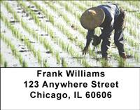 Rice Farming Address Labels