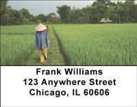 Rice Farming Address Labels