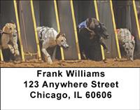 Greyhound Races Address Labels