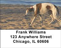 Greyhounds On The Beach Address Labels