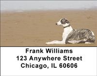 Greyhounds On The Beach Address Labels