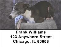 Greyhound Puppies Address Labels