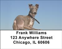 Greyhound Puppies Address Labels