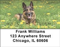 German Shepherds Outdoors Address Labels