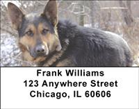 German Shepherds Outdoors Address Labels
