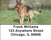 German Shepherds Outdoors Address Labels
