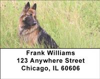 German Shepherds Outdoors Address Labels
