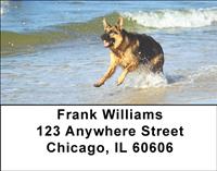 German Shepherds On The Beach Address Labels