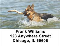 German Shepherds On The Beach Address Labels