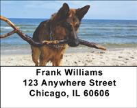 German Shepherds On The Beach Address Labels